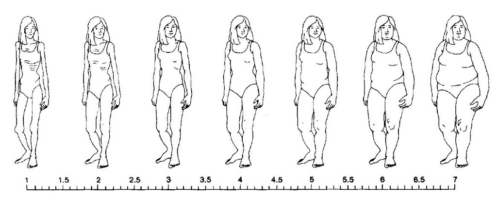 Image for Collins Adult Female Scale. Adapted from Collins, M. E. (1991). Body figure perceptions and preferences among preadolescent children. International Journal of Eating Disorders, 10, 199-208.
