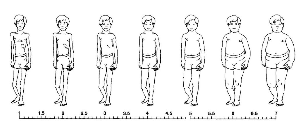 Image for Collins Child Male Scale. Adapted from Collins, M. E. (1991). Body figure perceptions and preferences among preadolescent children. International Journal of Eating Disorders, 10, 199-208.